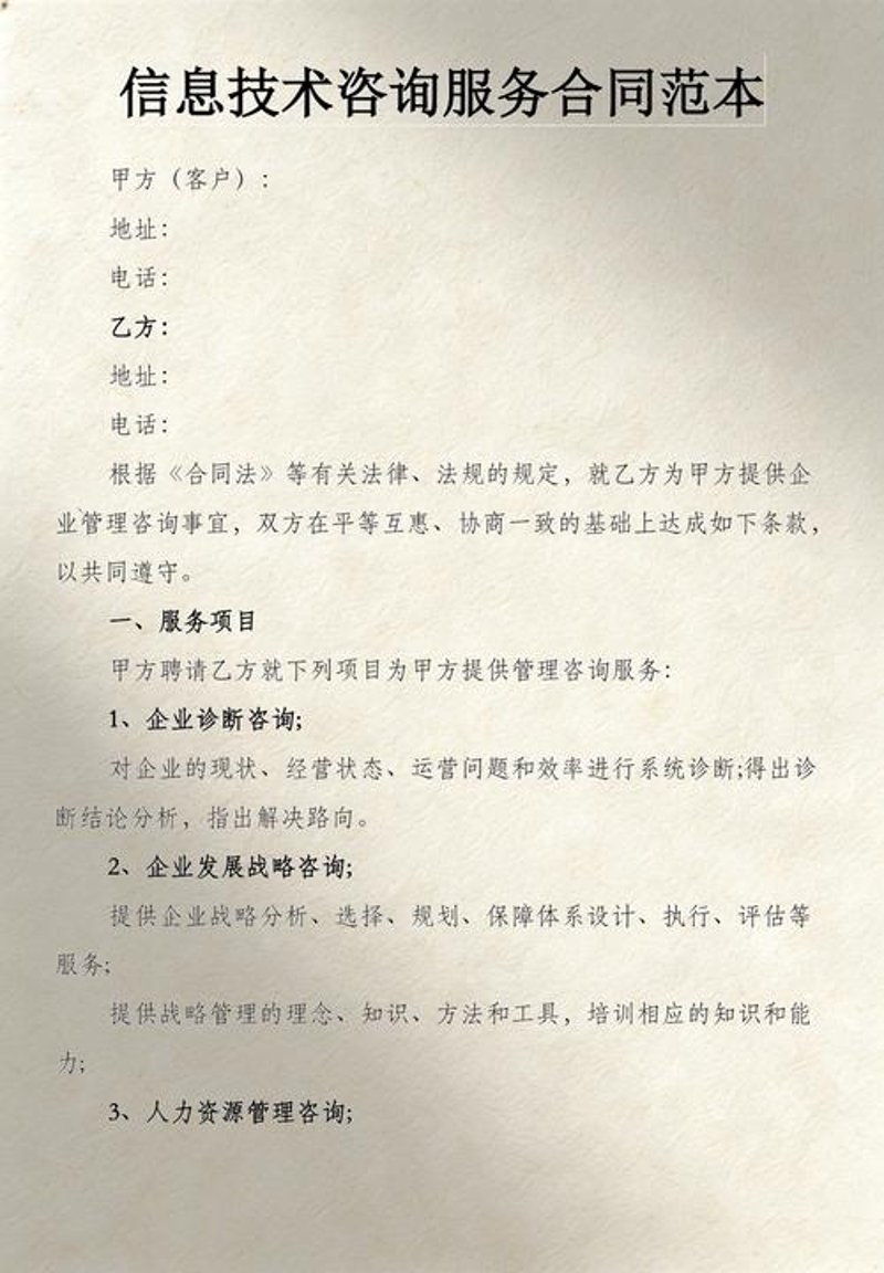 信息技术咨询